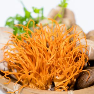 Close-up of various mushrooms and herbs in a basket, highlighting vibrant colors and textures.